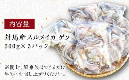 対馬産 スルメイカ ゲソ 2.5kg  [WAE009] イカゲソ スルメイカ げそ いか 天ぷら するめいか  