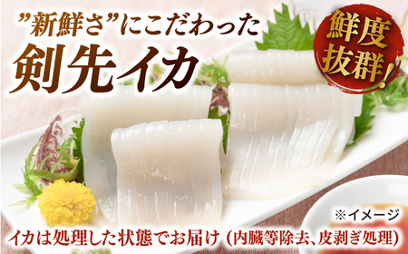 剣先イカ 5本 セット【丸徳水産】《対馬市》鮮度抜群 新鮮 ケンサキイカ シロイカ 下処理済 刺身 BBQ 惣菜 天ぷら フライ 海鮮[WAE011] イカ いか おすすめイカ いか おススメイカ いか 人気イカ いか 定番イカ いか 通販イカ いか お取り寄せイカ いか 自宅用イカ いか 贈答イカ いか