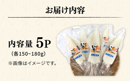 剣先イカ 5本 セット【丸徳水産】《対馬市》鮮度抜群 新鮮 ケンサキイカ シロイカ 下処理済 刺身 BBQ 惣菜 天ぷら フライ 海鮮 [WAE011]冷凍 あかいか 剣先いか 簡単調理 もう1品 処理済 まるいか 魚介 時短 煮物 和食 