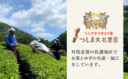 【全12回定期便】対馬紅茶 ティーバッグ 20包入×3袋 対馬 紅茶 お茶 ティー べにふうき茶葉 フルーティー  [WBE009]