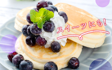 【先行予約】【全3回定期便】 大容量 対馬産 ブルーベリー （ 冷凍 ） 1.2kg  [WBG002] 有機 旬 ブルーベリー フルーツ