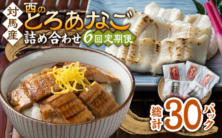 【全6回定期便】対馬産 穴子 詰め合わせ 5PAC [WAV007] 対馬 新鮮 とろ あなご 煮穴子 冷凍 海鮮