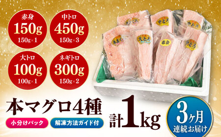 【全3回定期便】対馬産 本マグロ 4種 計1kg（赤身/中トロ/大トロ/ネギトロ）[WAH006] まぐろ トロ 刺身