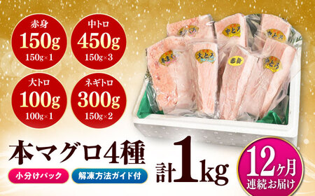 【全12回定期便】対馬産 本マグロ 4種 計1kg（赤身 中トロ 大トロ ネギトロ） [WAH008] マグロ まぐろ 本まぐろ トロ 定期便