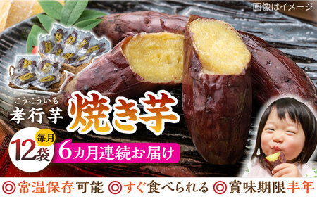 【全6回定期便】孝行芋 焼き芋 12袋  対馬 やきいも 甘い おやつ スイーツ [WAI055]