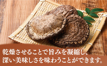 対馬 原木 椎茸 ステーキ 大1枚入り ×4箱 しいたけ 森のアワビ 香信 出汁 [WAI082]