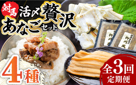 【全3回定期便】対馬産 あなご 贅沢 セット [WAC021] 煮あなご 佃煮 アナゴ