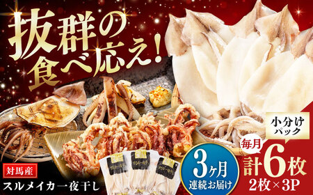 【全3回定期便】するめいか一夜干しセット [WAC024] スルメイカ いか 