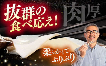 【全3回定期便】するめいか一夜干しセット [WAC024] スルメイカ いか 