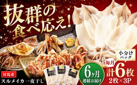 【全6回定期便】するめいか一夜干しセット [WAC025] スルメイカ いか