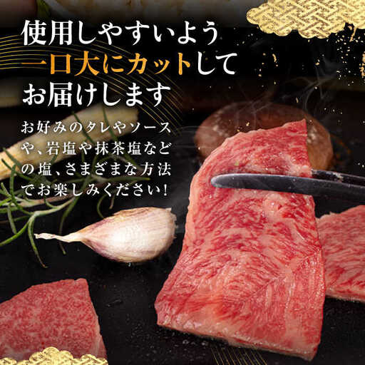 壱岐牛 赤身 焼肉用 400g《壱岐市》【中津留】 赤身 焼肉 BBQ 牛肉 [JFS011] 21000 21000円 その他・加工品