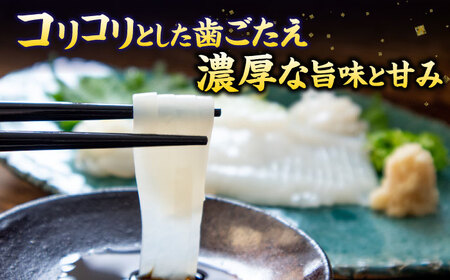 【冷凍】 スルメイカ 3尾（350～500g/尾）《壱岐市》【馬渡水産】 イカ いか 烏賊 スルメイカ するめ 刺身 海鮮 魚貝 冷凍配送 産地直送 [JAQ004]