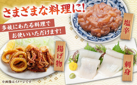 【冷凍】 スルメイカ 3尾（350～500g/尾）《壱岐市》【馬渡水産】 イカ いか 烏賊 スルメイカ するめ 刺身 海鮮 魚貝 冷凍配送 産地直送 [JAQ004]