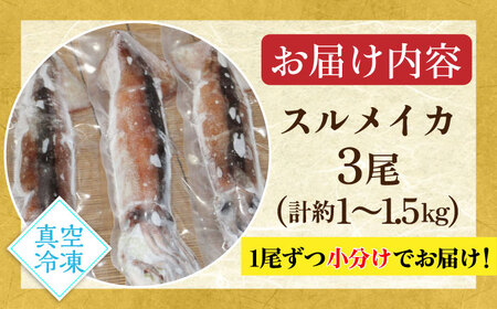 【冷凍】 スルメイカ 3尾（350～500g/尾）《壱岐市》【馬渡水産】 イカ いか 烏賊 スルメイカ するめ 刺身 海鮮 魚貝 冷凍配送 産地直送 [JAQ004]