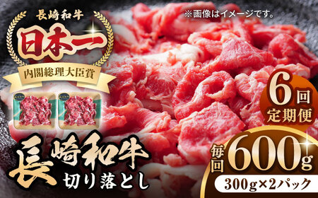 【全6回定期便】長崎和牛 切り落とし 600g（300g×2パック）《壱岐市》【長崎フードサービス】 肉 牛肉 赤身 小分け 国産 切落し 切り落し 冷凍配送 [JEP025]