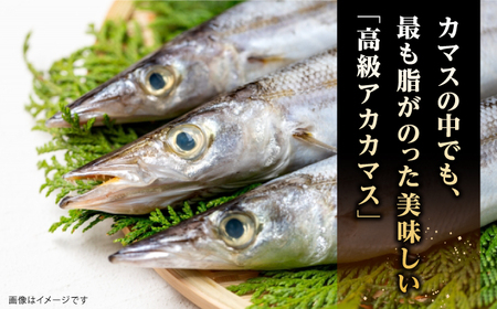 一本釣り　極上赤カマスの干物《壱岐市》【丸昇水産】カマス かます 朝食 海鮮 ひもの 冷凍配送[JFZ003] 九州