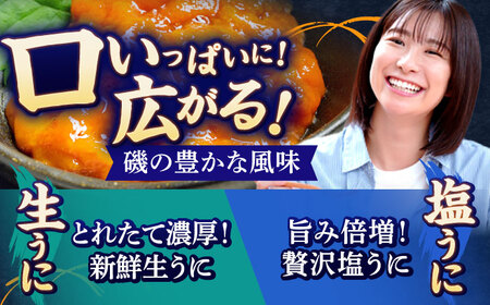 うに 食べ比べセット《壱岐市》【合同会社塚元】ムラサキウニ 生ウニ 塩ウニ 海産物 海鮮 ウニ  雲丹 珍味 冷凍配送 [JDR024]