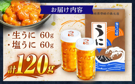 うに 食べ比べセット《壱岐市》【合同会社塚元】ムラサキウニ 生ウニ 塩ウニ 海産物 海鮮 ウニ  雲丹 珍味 冷凍配送 [JDR024]