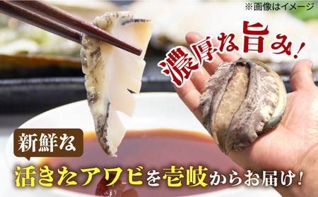 国産養殖アワビ 活き！壱岐！アワビ 計500g（約100g×5枚）《壱岐市》【住吉水産】アワビ 鮑 養殖 貝 海産物 魚介 魚貝 産地直送 お刺身 冷蔵発送[JDQ007] 九州