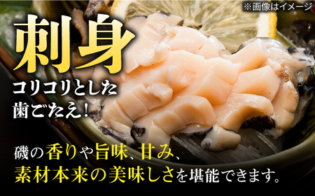 国産養殖アワビ 活き！壱岐！アワビ 計500g（約100g×5枚）《壱岐市》【住吉水産】アワビ 鮑 養殖 貝 海産物 魚介 魚貝 産地直送 お刺身 冷蔵発送[JDQ007] 九州