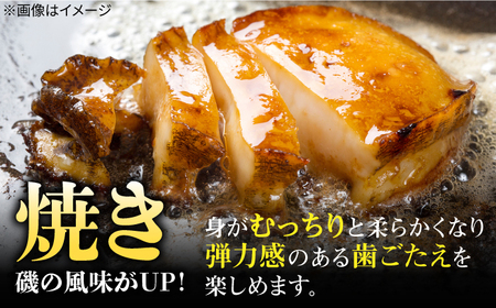 国産養殖アワビ 活き！壱岐！アワビ 計500g（約100g×5枚）《壱岐市》【住吉水産】アワビ 鮑 養殖 貝 海産物 魚介 魚貝 産地直送 お刺身 冷蔵発送[JDQ007] 九州