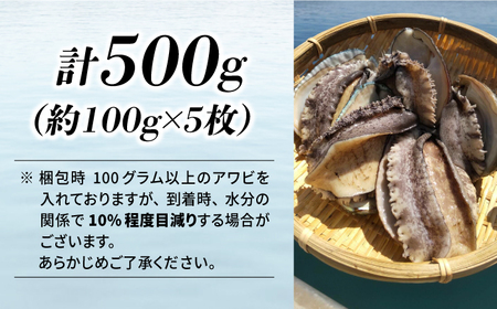 国産養殖アワビ 活き！壱岐！アワビ 計500g（約100g×5枚）《壱岐市》【住吉水産】アワビ 鮑 養殖 貝 海産物 魚介 魚貝 産地直送 お刺身 冷蔵発送[JDQ007] 九州