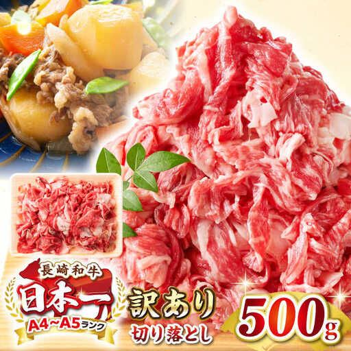 【訳あり】【A4~A5ランク】長崎和牛 切り落とし 500g《壱岐市》【株式会社MEAT PLUS】 肉 牛肉 黒毛和牛 焼き肉 ご褒美 冷凍配送 訳あり A5 黒毛和牛 ギフト [JGH001]
