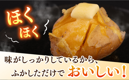 【先行予約】壱岐黄金じゃがいも 5kg【2026年7月中に発送】《壱岐市》【壱岐市農業協同組合】[JBO139] じゃがいも 旬野菜