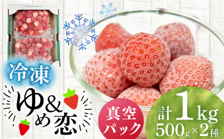冷凍いちご 1kg 『ゆめ恋フローズンセット』《壱岐市》【蒼花】 産地直送 冷凍配送 苺 フルーツ フローズン 朝食 ゆめのか 恋みのり [JEO005]