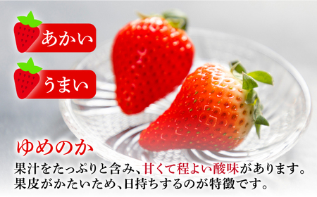 冷凍いちご 1kg 『ゆめ恋フローズンセット』《壱岐市》【蒼花】 産地直送 冷凍配送 苺 フルーツ フローズン 朝食 ゆめのか 恋みのり [JEO005]