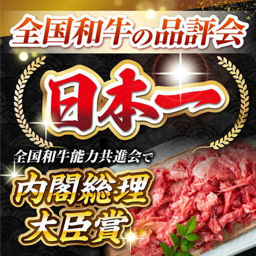 【全3回定期便】【訳あり】【A4~A5ランク】長崎和牛 切り落とし 500g《壱岐市》【株式会社MEAT PLUS】 肉 牛肉 黒毛和牛 焼き肉 ご褒美 冷凍配送 訳あり A5 黒毛和牛 ギフト [JGH036]