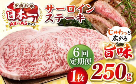 【全6回定期便】【A4～A5ランク】長崎和牛 サーロインステーキ 250g（250g×1枚）《壱岐市》【株式会社MEAT PLUS】 肉 牛肉 黒毛和牛 サーロイン ステーキ ご褒美 ギフト 贈答用 ご褒美 冷凍配送 A4 A5 [JGH125]
