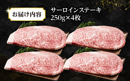 【全6回定期便】【A4～A5ランク】長崎和牛 サーロインステーキ 1kg（250g×4枚）《壱岐市》【株式会社MEAT PLUS】 肉 牛肉 黒毛和牛 サーロイン ステーキ ご褒美 ギフト 贈答用 ご褒美 冷凍配送 A4 A5 [JGH133]