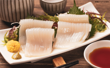 剣先イカ フィレ ・ うに 瓶 セット [JCC013] イカ 粒うに