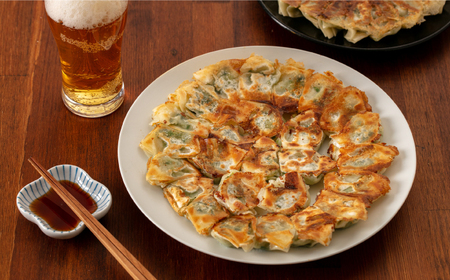 ひとくち餃子18個入×5パック《壱岐市》【壱岐市農業協同組合】[JBO150]