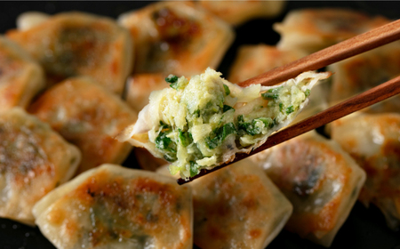 ひとくち餃子18個入×5パック《壱岐市》【壱岐市農業協同組合】[JBO150]