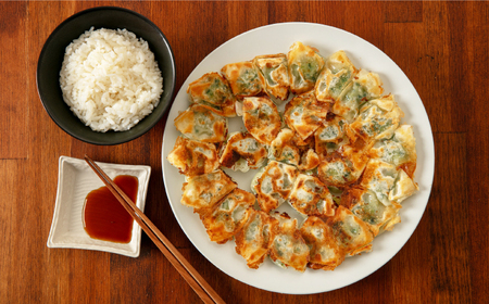 ひとくち餃子18個入×5パック《壱岐市》【壱岐市農業協同組合】[JBO150]