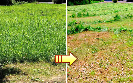 草刈り・墓地清掃・遺品整理等の代行チケット30，000円分《壱岐市》【便利屋とこしえ】[JGX003]