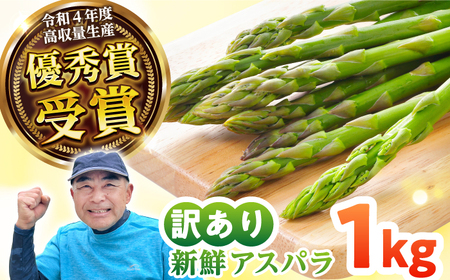 【先行予約】壱岐産 訳アリ アスパラ 1kg【2026年3月下旬以降順次発送】 [JGZ001]アスパラ