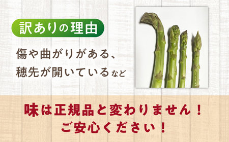 【先行予約】壱岐産 訳アリ アスパラ 1kg【2026年3月下旬以降順次発送】 [JGZ001]アスパラ