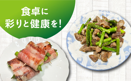 【先行予約】壱岐産 訳アリ アスパラ 1kg【2026年3月下旬以降順次発送】 [JGZ001]アスパラ