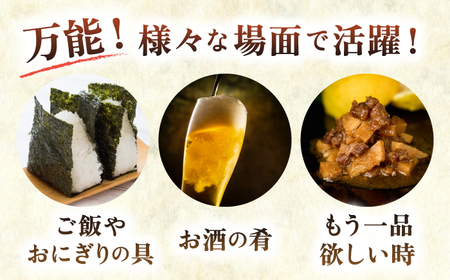 壱岐牛しぐれ煮・4種セット《壱岐市》【壱岐フードファクトリー】常温配送 壱岐牛 しぐれ煮 [JDW047] - サムネイル