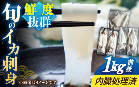 【年内発送】旬のイカ刺身1kg前後《壱岐市》【馬渡水産】イカ いか 烏賊 剣先 アオリ あおり スルメ するめ 刺身 刺し身 お刺身 海鮮 魚貝 冷凍配送 産地直送[JAQ027]