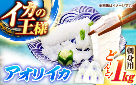 【冷凍】アオリイカ 刺身用 1kg　水烏賊 《壱岐市》 【一支國屋】海鮮 烏賊 イカ いか 刺身 刺し身 お刺身 アオリイカ 冷凍配送[JCC020]