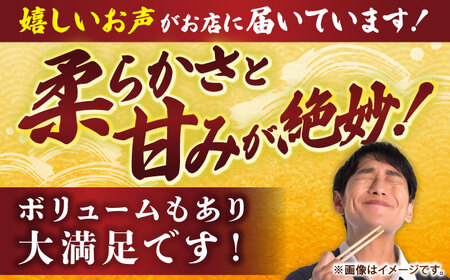 【冷凍】アオリイカ 刺身用 1kg　水烏賊 《壱岐市》 【一支國屋】海鮮 烏賊 イカ いか 刺身 刺し身 お刺身 アオリイカ 冷凍配送[JCC020]