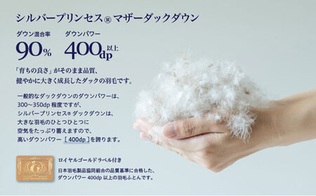 【訳あり】 色柄おまかせ セミダブル 羽毛合掛けふとん シルバープリンセスダック ダウン90% ダウンパワー400dp 《壱岐市》 【富士新幸九州】 [JDH119] 掛け布団