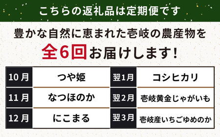 【全6回定期便】【先行予約】壱岐産農産物定期便【2026年10月以降順次発送】《壱岐市》【壱岐市農業協同組合】米 コシヒカリ じゃがいも いちご 野菜 セット [JBO159]