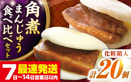 【お歳暮対象】【年内発送】長崎角煮まんじゅう10個(箱)・大とろ角煮まんじゅう10個(箱)《壱岐市》【岩崎本舗】冷凍 豚 豚角煮 角煮饅頭 簡単調理 お取り寄せ[JHA001]