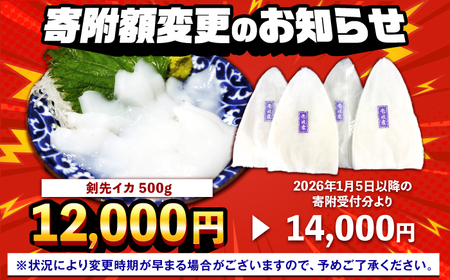 【ふるなびWEEK対象】剣先イカ 刺身用 500g [JCC024] イカ刺し FN-Limited-PR