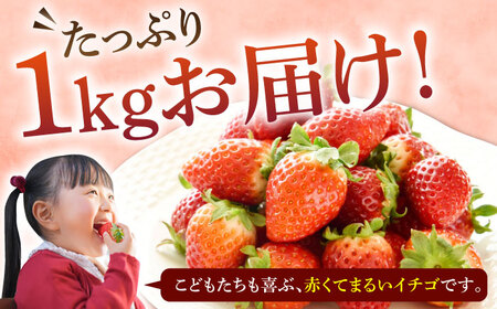 【訳あり/簡易包装】ゆめのか 約250g×4パック【Strawberry Gang】 [JEM003-CP02] イチゴ 苺 訳あり 